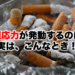 適応力が発動するのはこんなとき！