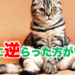本能に逆らった方がいい時